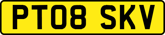 PT08SKV