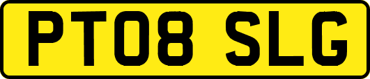 PT08SLG