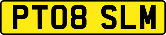 PT08SLM