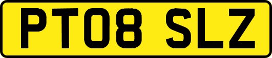PT08SLZ