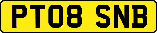 PT08SNB