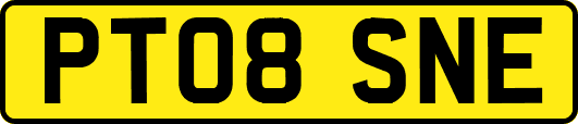 PT08SNE
