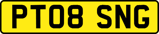 PT08SNG