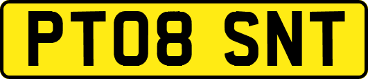 PT08SNT