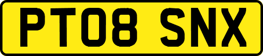 PT08SNX