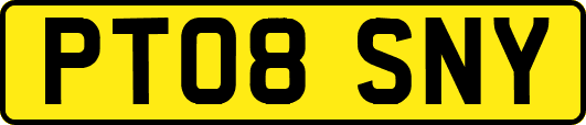 PT08SNY