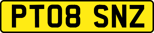 PT08SNZ