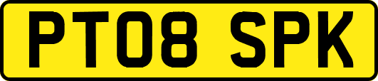 PT08SPK