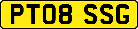 PT08SSG