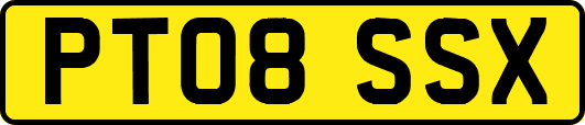 PT08SSX