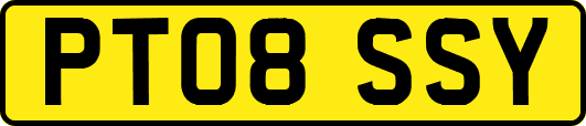 PT08SSY