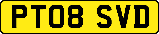 PT08SVD