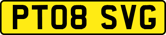 PT08SVG