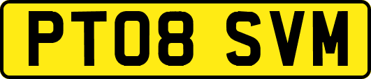 PT08SVM