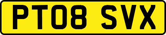 PT08SVX