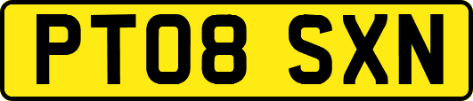 PT08SXN