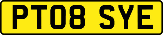 PT08SYE