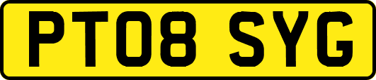 PT08SYG
