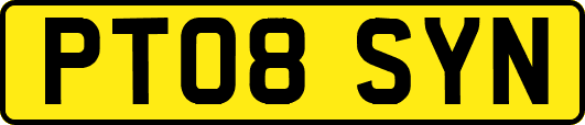 PT08SYN