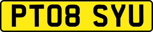 PT08SYU