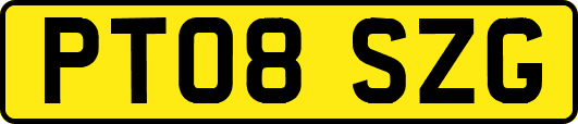 PT08SZG