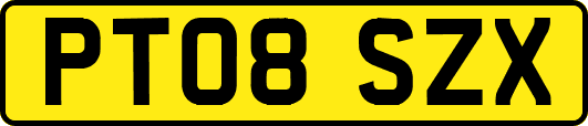 PT08SZX