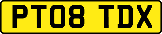 PT08TDX