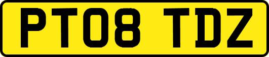 PT08TDZ