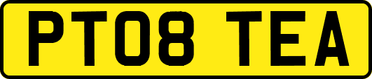 PT08TEA