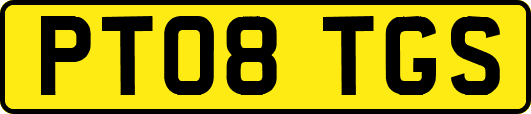 PT08TGS