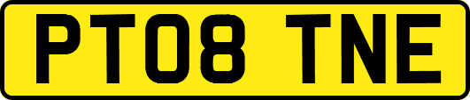PT08TNE