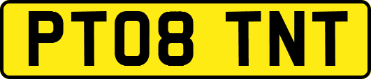 PT08TNT