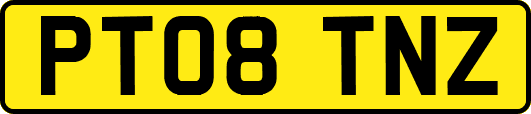 PT08TNZ