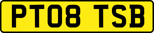 PT08TSB
