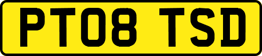 PT08TSD