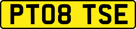 PT08TSE