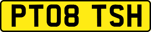 PT08TSH