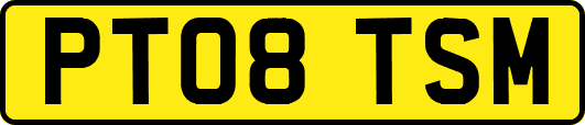 PT08TSM