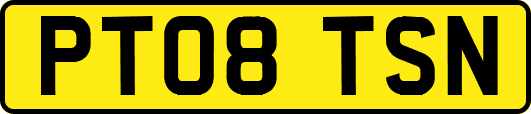 PT08TSN