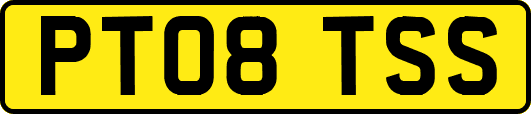 PT08TSS