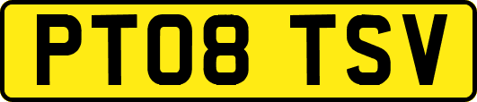 PT08TSV