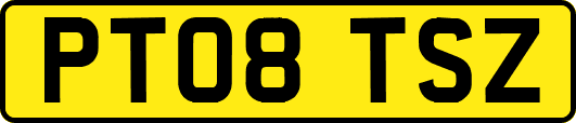 PT08TSZ