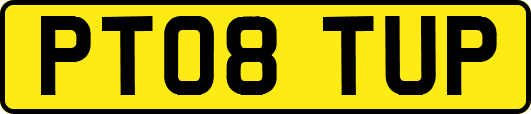 PT08TUP
