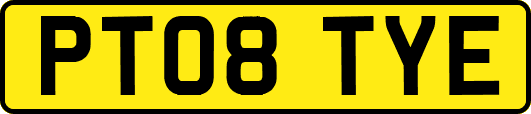 PT08TYE