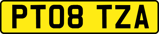 PT08TZA