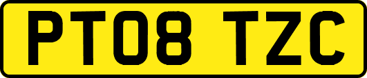 PT08TZC