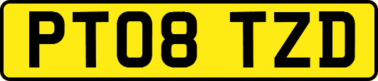 PT08TZD