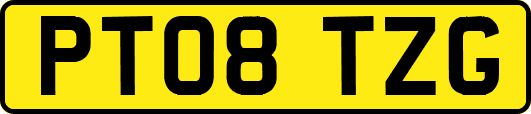 PT08TZG