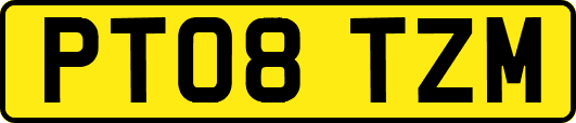 PT08TZM
