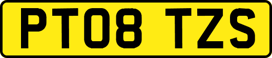 PT08TZS